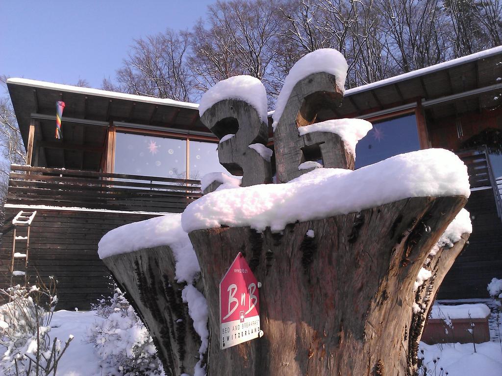B&B Sunnesite Pratteln Luaran gambar