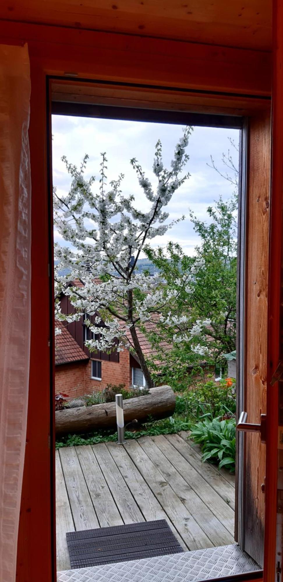 B&B Sunnesite Pratteln Luaran gambar