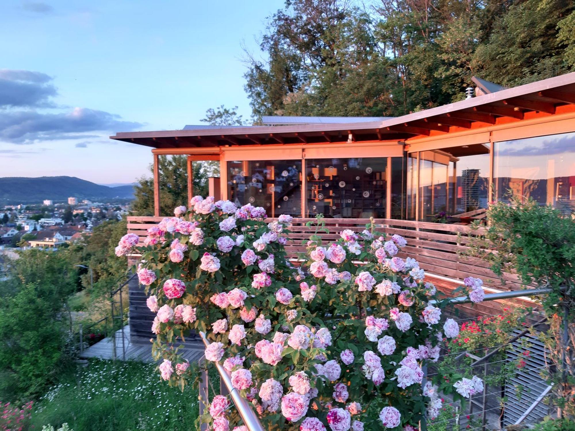 B&B Sunnesite Pratteln Luaran gambar