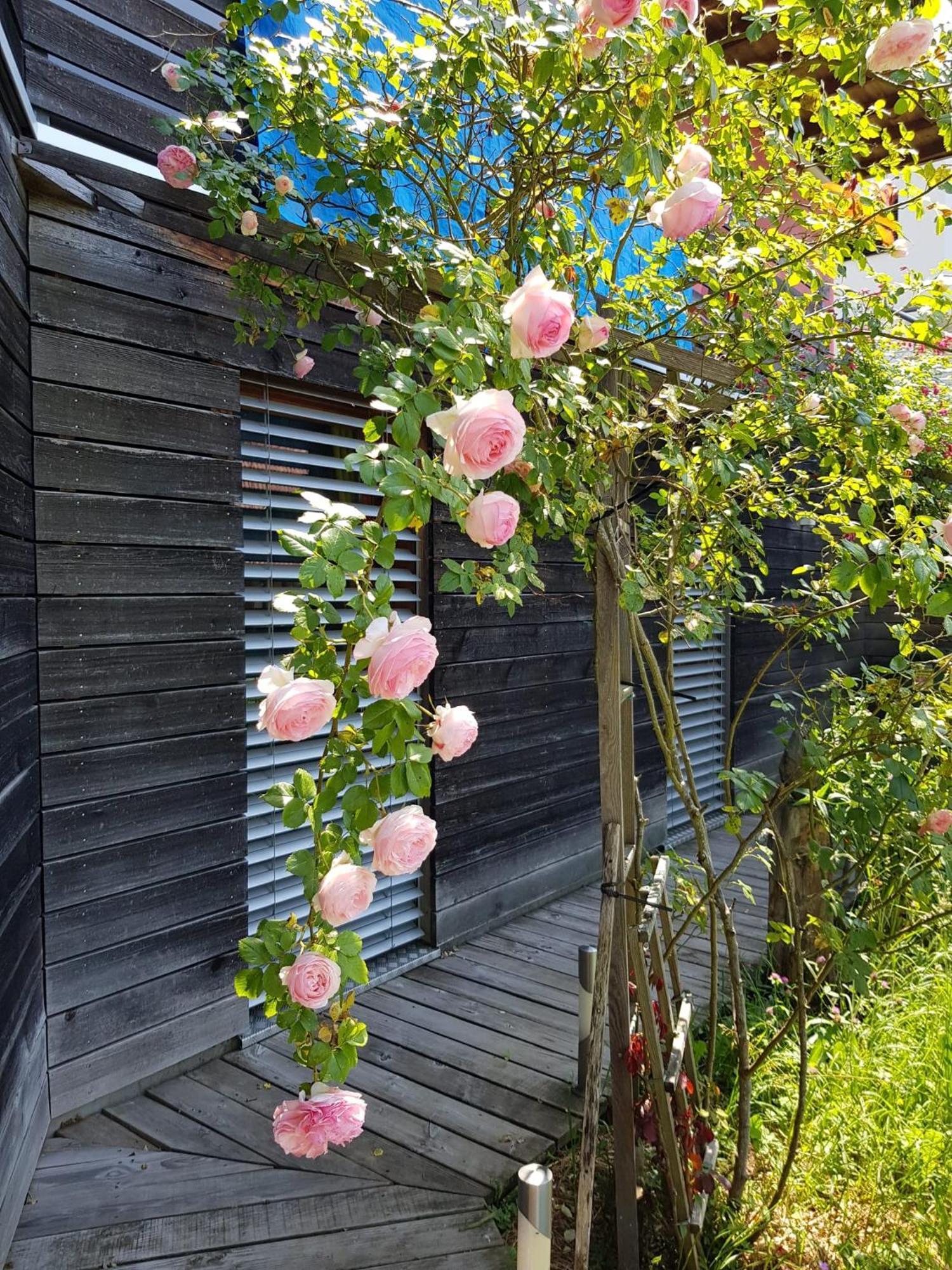 B&B Sunnesite Pratteln Luaran gambar